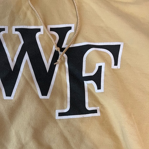 Champion Wake Forest Hoodie, Size M - Picture 3 of 6